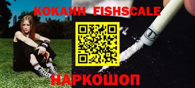 крисы Камышлов